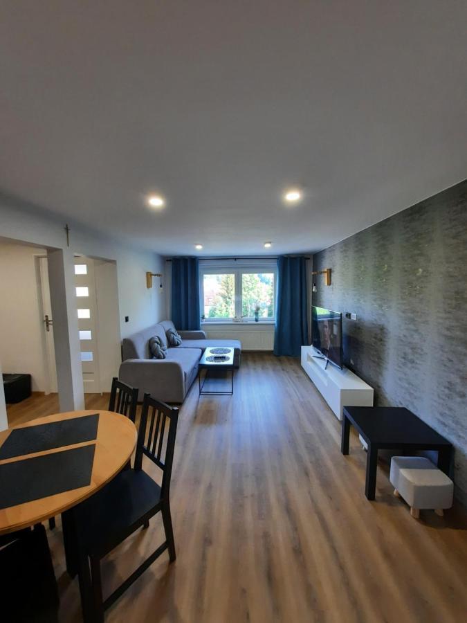 Orlicka Apartament 두슈니키 즈드로지 외부 사진